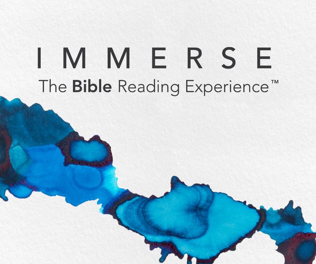 Immerse Bible